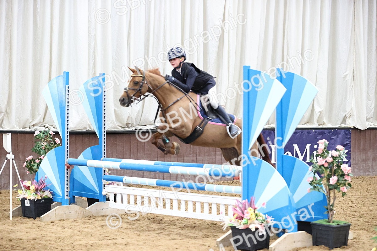 SBM_000307 - Class 2 - Pony British Novice - 80cm Open