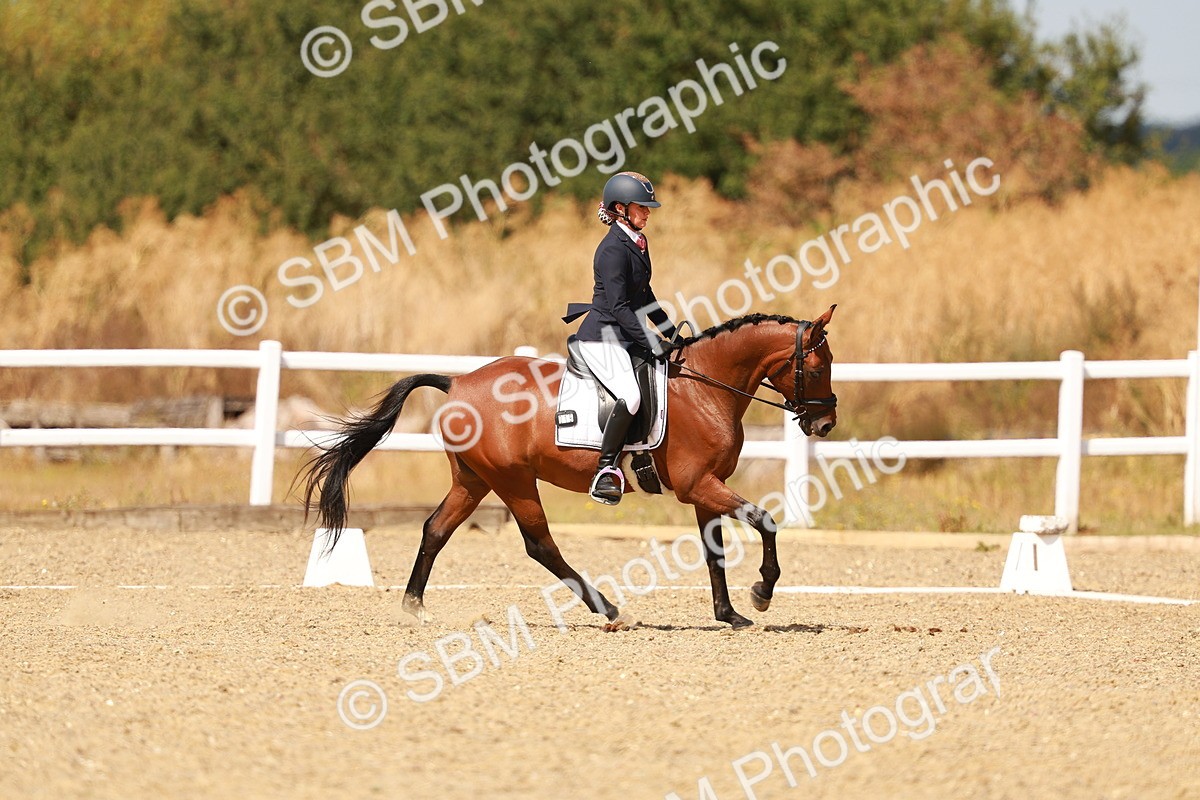 SBM_018476 - Class 9 - N5 Bronze 11.57.13.07