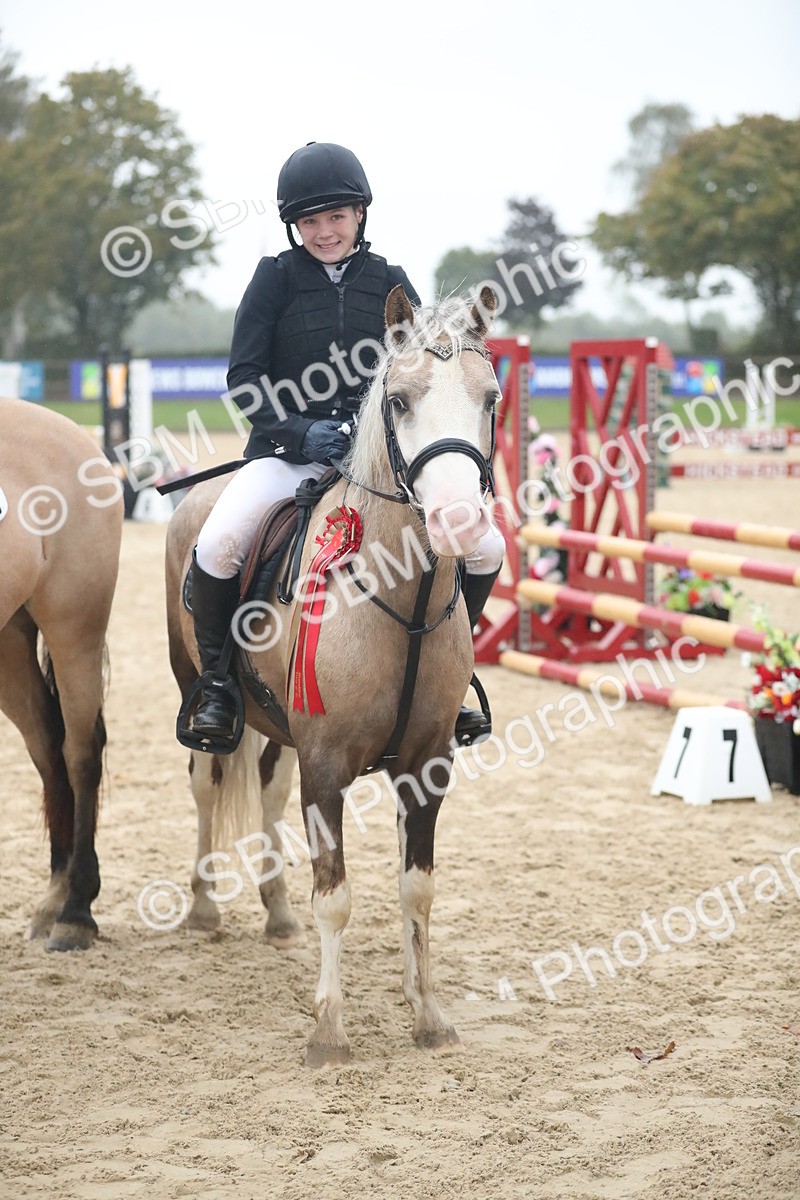 SBM_74327 - Supreme championship Junior Pony 70cm 75cm