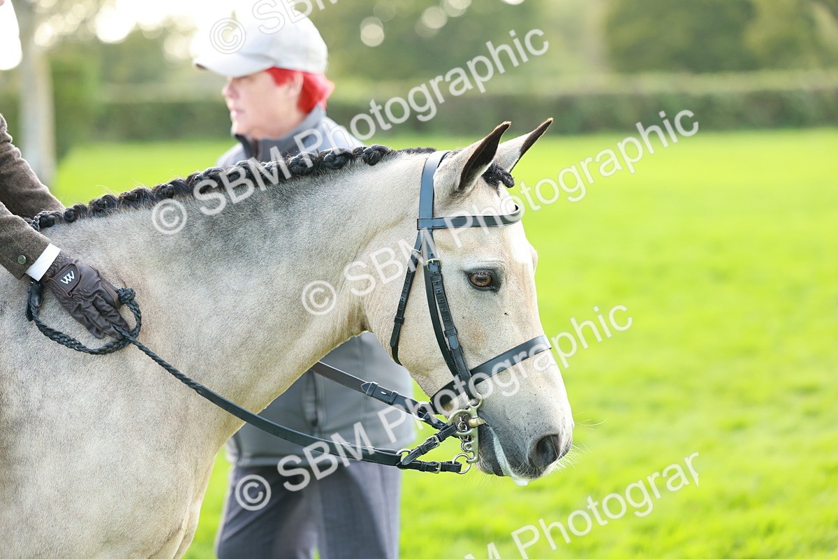 SBM_28829 - S7 - Novice & Newcomer Ridden Pony