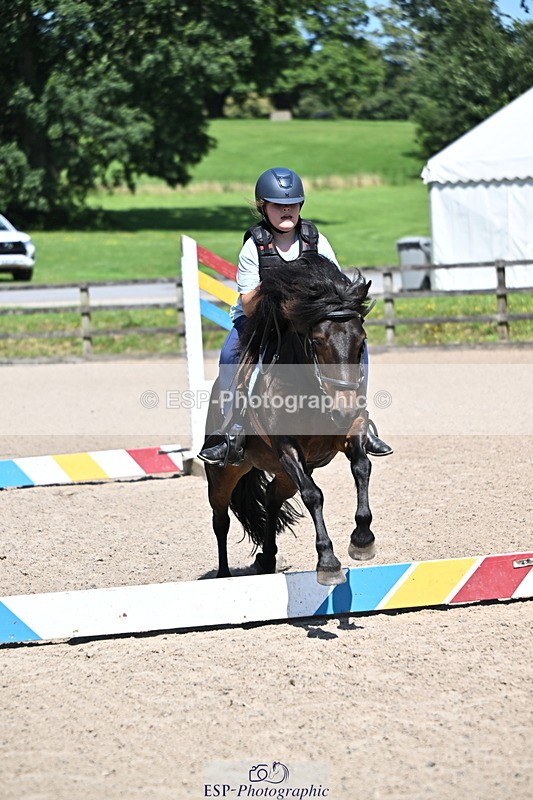 240729B-114514-02531 - Showjumping Competition