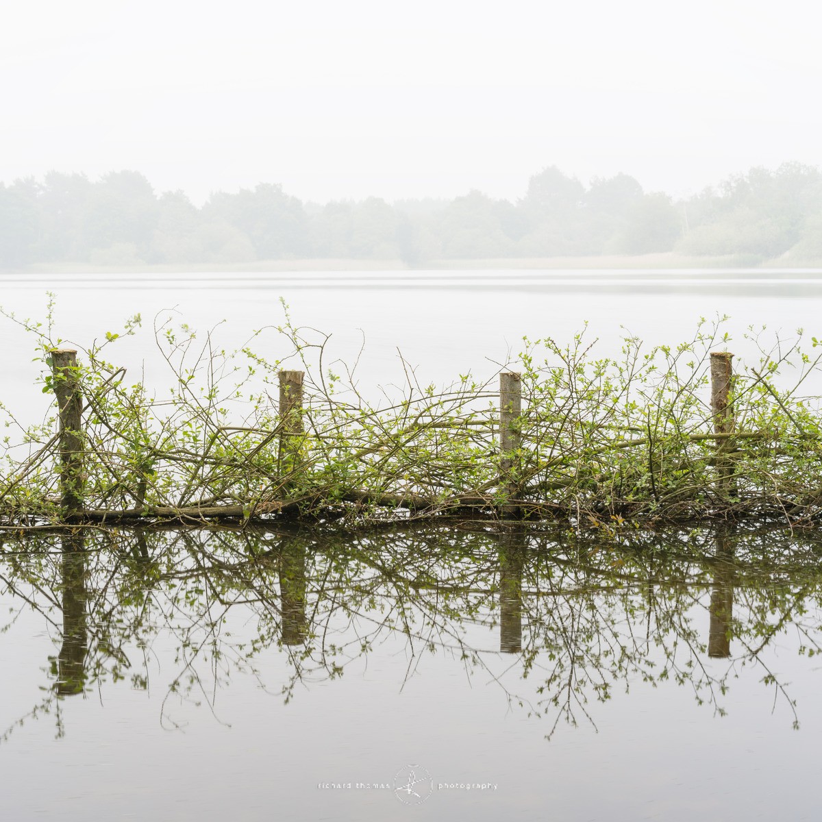 Growth Protection - Frensham