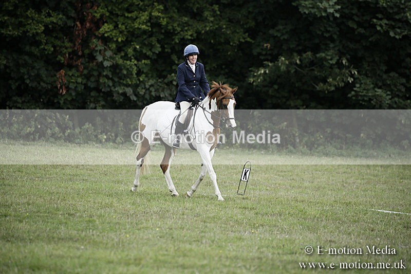 BVR090918 4 - BVRC Dressage and Show Jumping 09/09/18