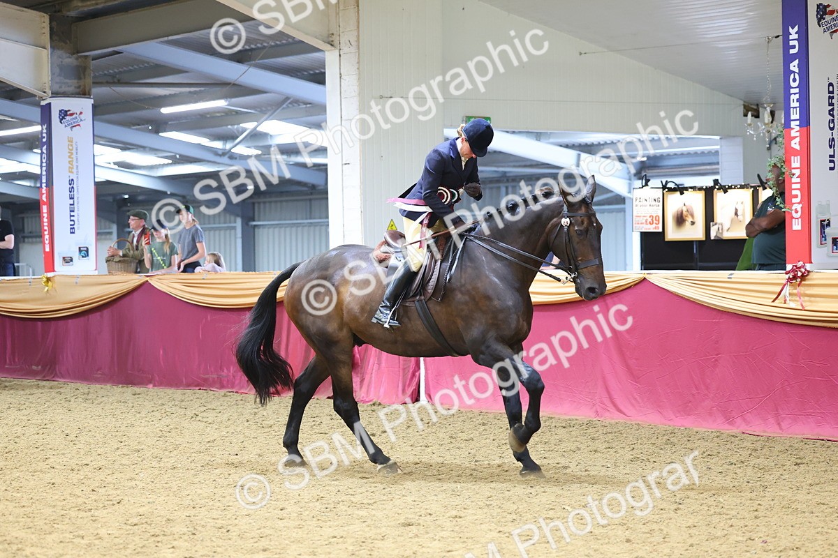 SBM_24222 - Class 905 - Supreme Final - Ridden Veteran