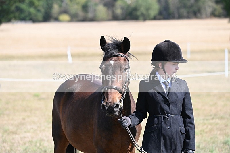 WJ6_7620 - Class 34 Judges Choice