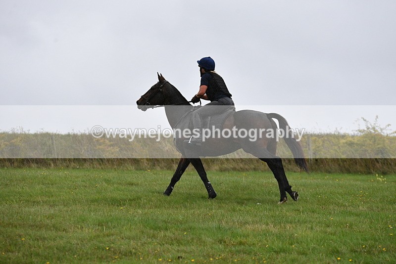 WJ5_6928 - Time 13:31 to 14:00