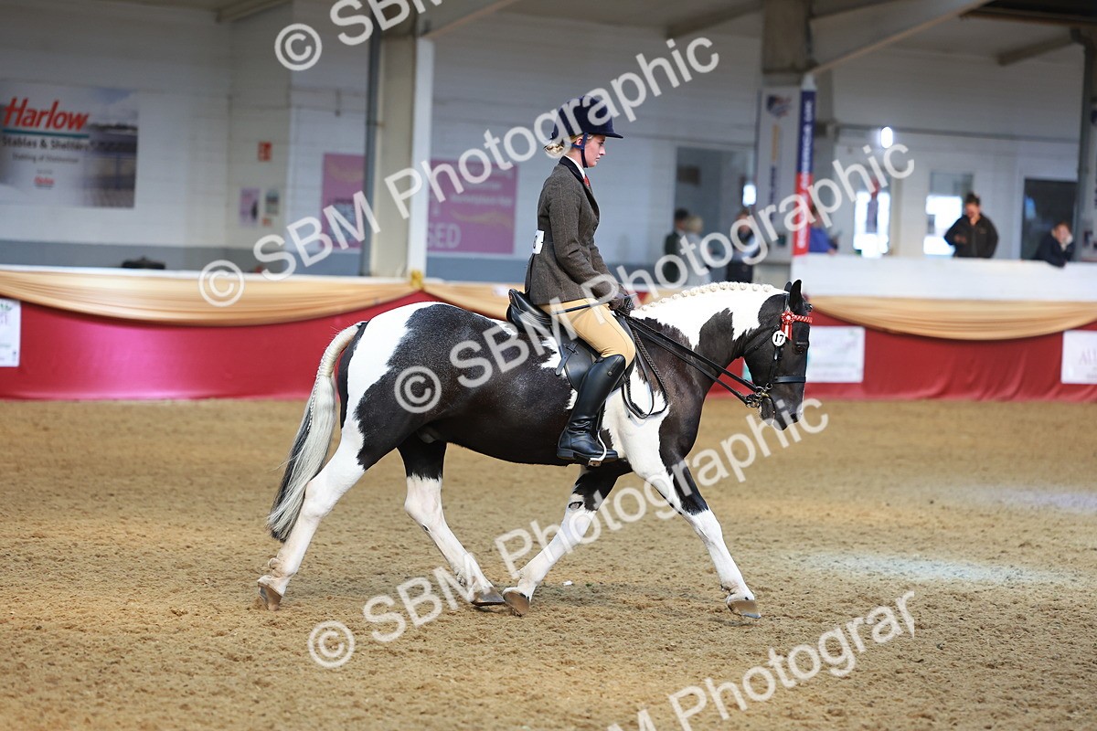 SBM_10686 - Class 103 - HOYS Veteran Qualifier - Ridden Pre Vet