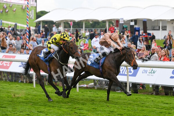yr22052022r7-19 - Race 7: 6:40pm Sky Bet Sunday Series Fillies' and Mares Stakes
