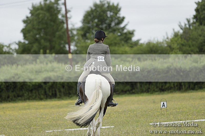 BVR160717-1169 - Class 2 Dressage 16/07/17