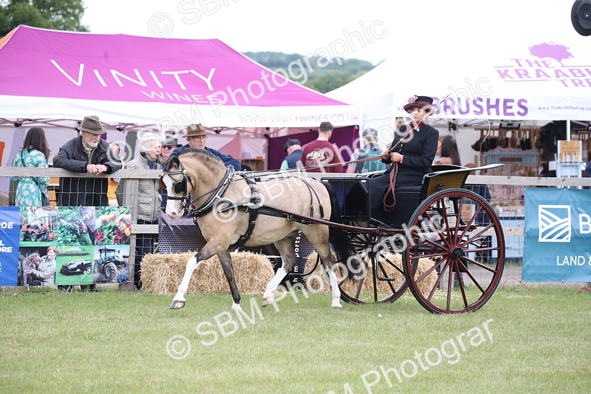SBM_05860 - Class 12-15 - HOYS Private Driving