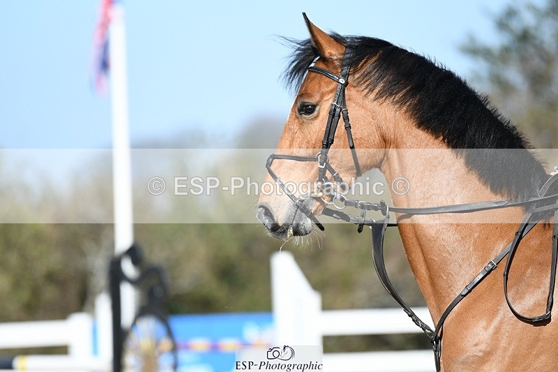 250330-103626-06189 - Cls 32 British Novice and 90cm