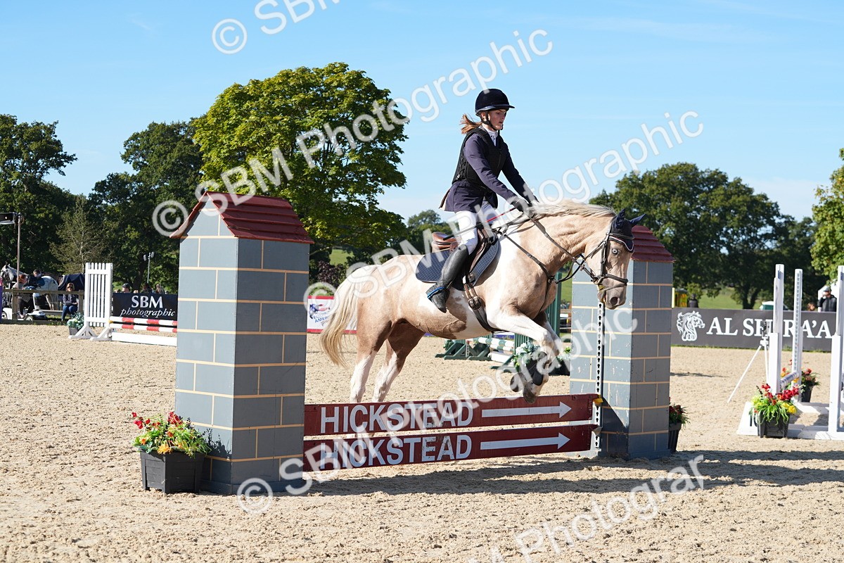 SBM_36126 - J 20 - Junior Horse 50cm Championship
