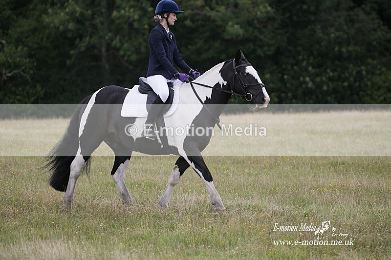 BVRC 030721 766 - Bourne Valley Riding Club Dressage 03/07/21