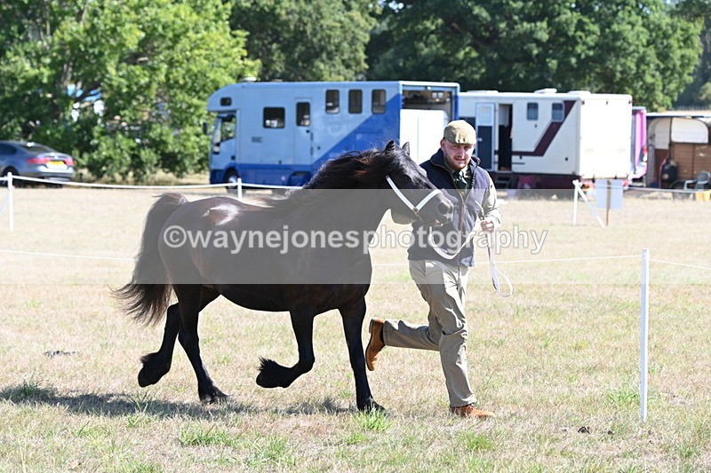 WJ6_4671 - Class 17 Mountain & Moorland