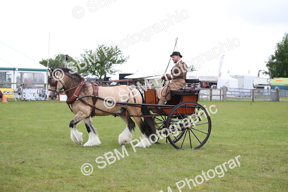 SBM_05635 - Class 12-15 - HOYS Private Driving