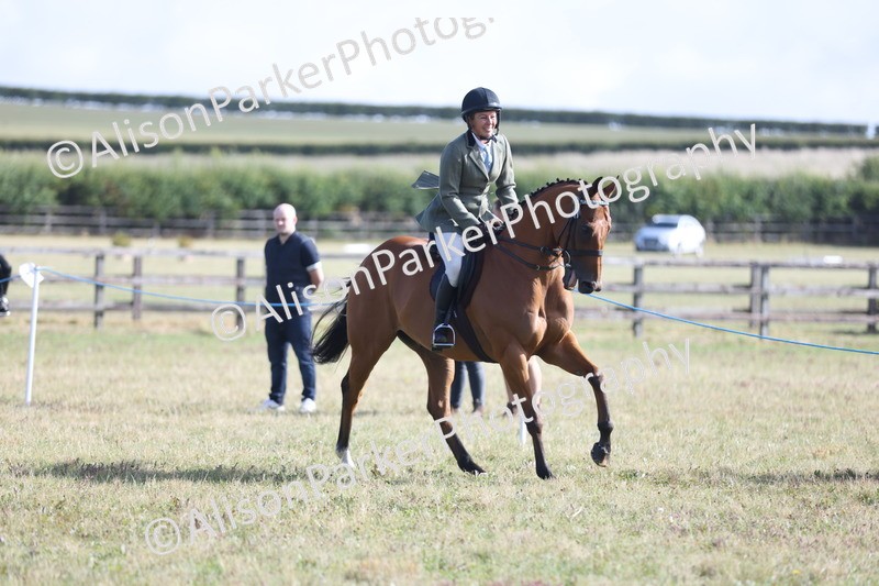 20250831-0821 - Class 14 - Ex Racehorse