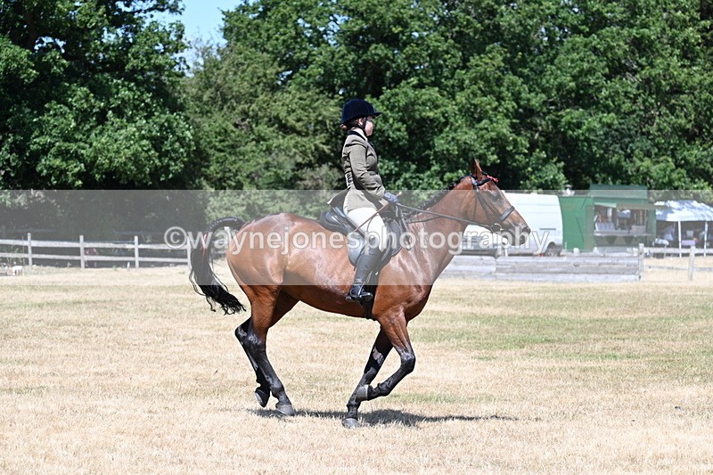 WJ7_3088 - Class 7 Riding Club Show Horse