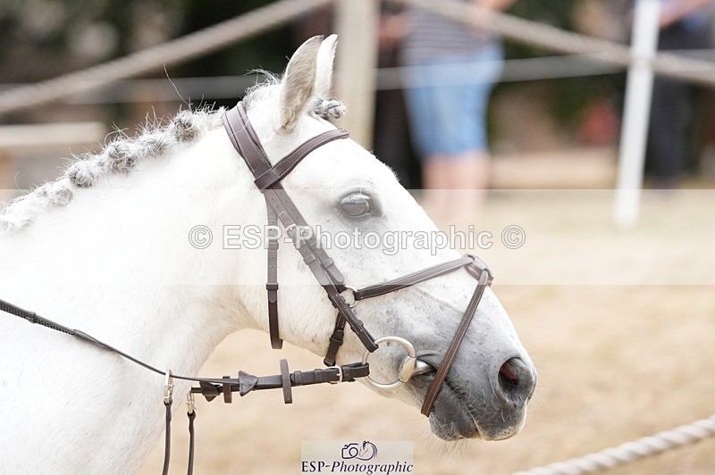 250820A-120722-06214 - Round 2, 11.45 to 12.30 End