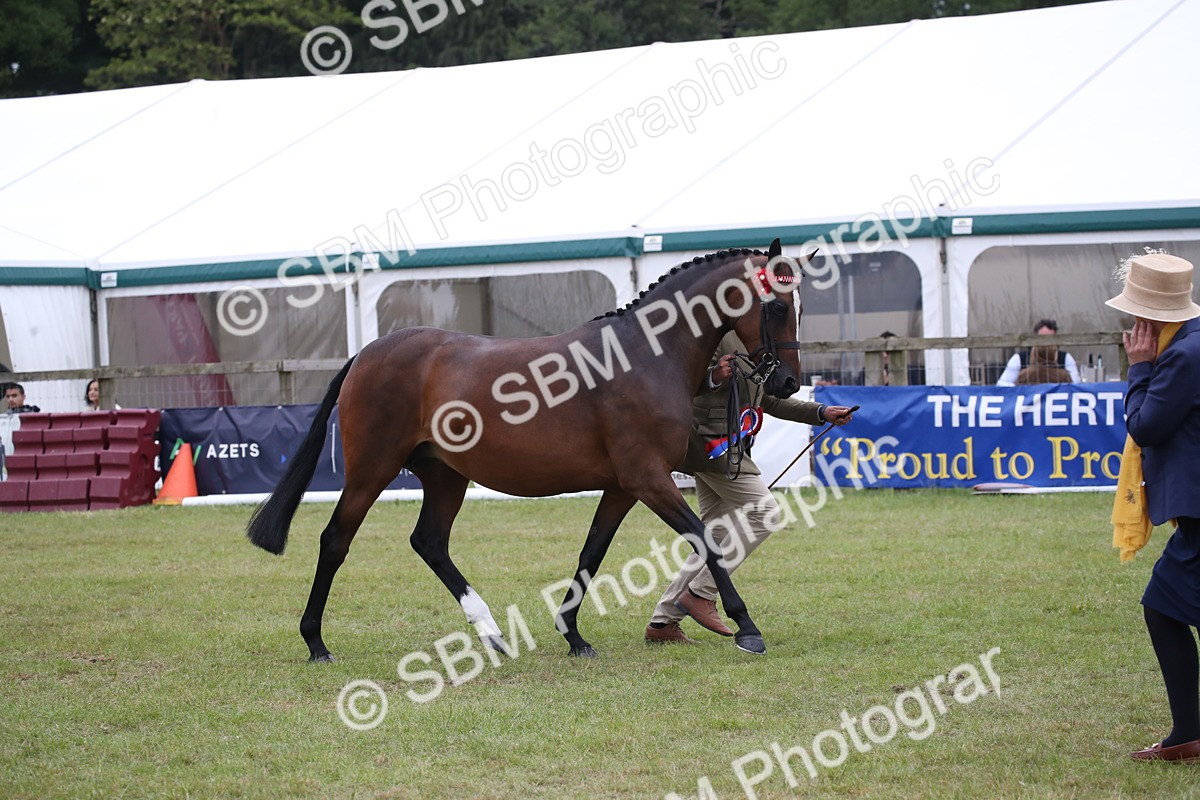 SBM_09842 - Ch 50 - Price Family Supreme In Hand