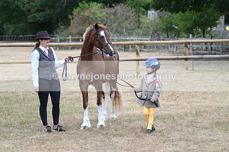 WJ7_8176 - Class 4 Prettiest Mare up to 14.2hh