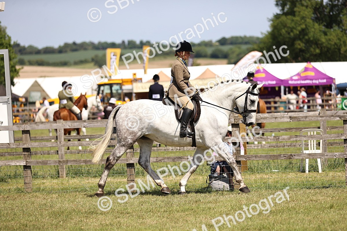 SBM_16212 - Class 79-80 - LIHS BSHA Rising Star Ridden Hunter