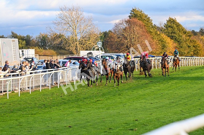 291024-Race 7-Crocodile Power-6423 - Race 7