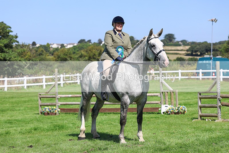 3E7A8533 - Class 4: Novice working Hunter