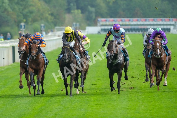 080925-Race 4-Zain Blue-9007 - Race 4 4.00pm Sky Bet Extra Places Middle Distance Handicap