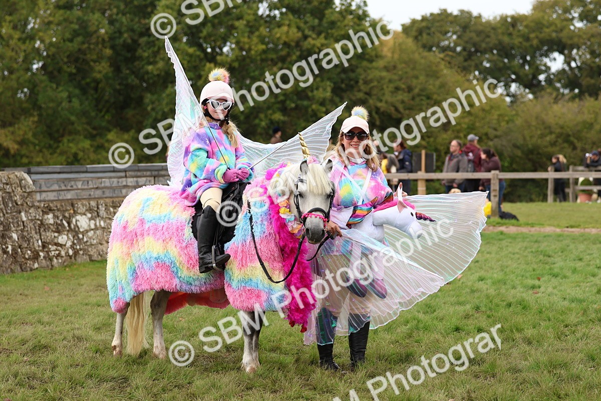 SBM_62183 - S37b - Best Unicorn