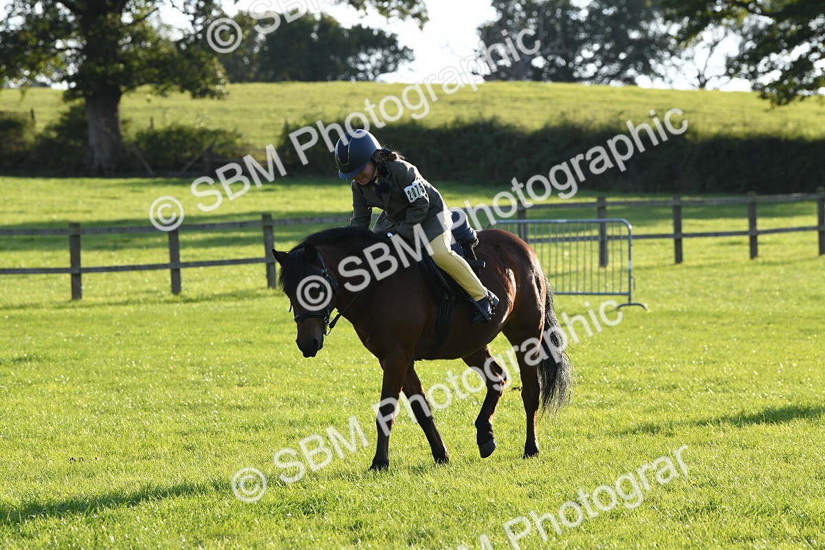 SBM_54148 - S23 - 1st Ridden Mountain & Moorland Pony
