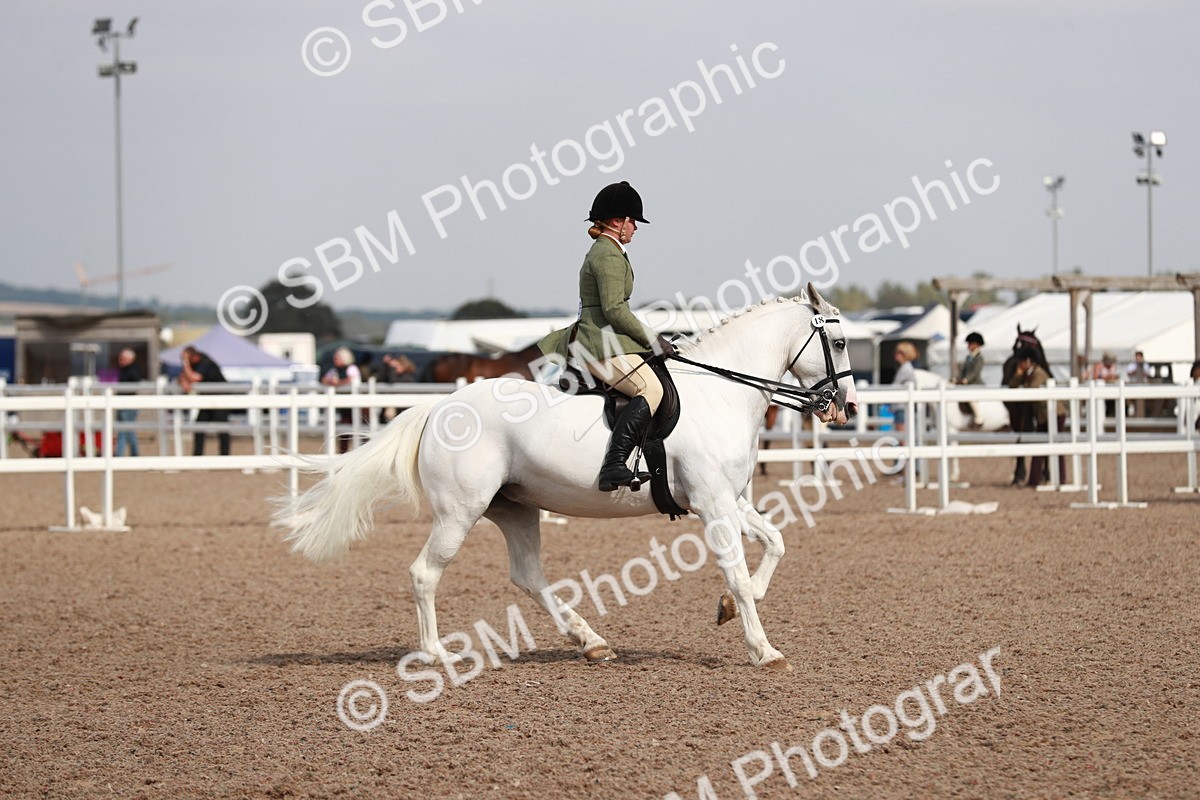 SBM_14914 - Class 212 Ridden Hunter - Small