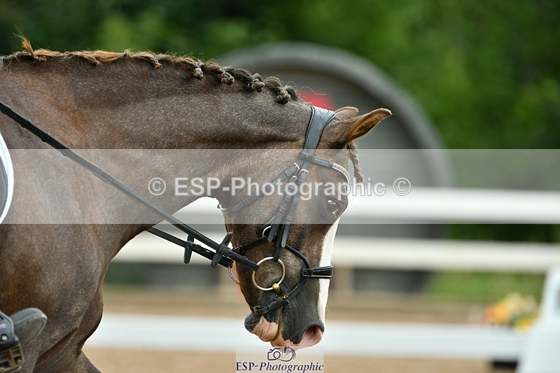 230630A-102721-00091_Cls 6 Music Novice - 078-877-5312