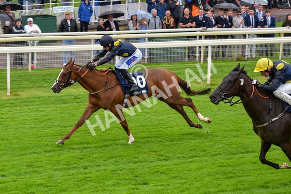 140723-Race 2-Swingalong-8133 - Race 2 2.40pm William Hill Summer Stakes
