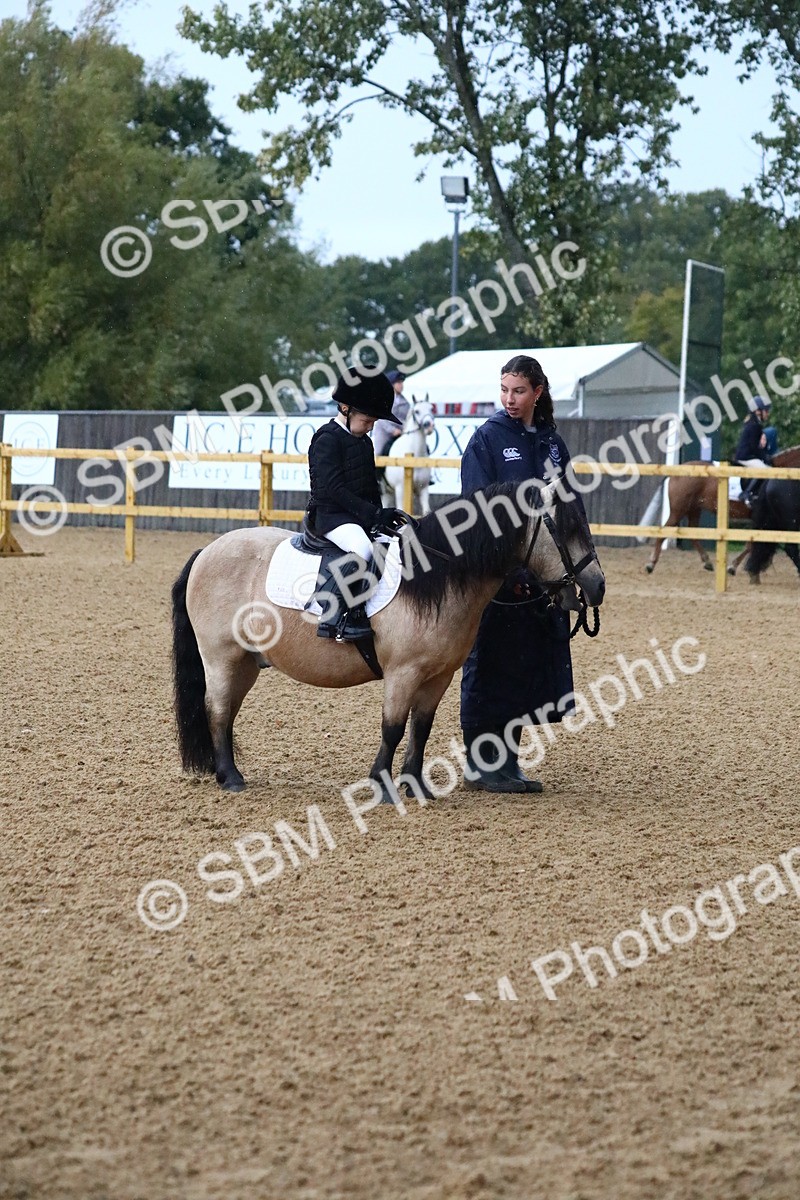 SBM_34600 - D26 - Starters Lead Rein