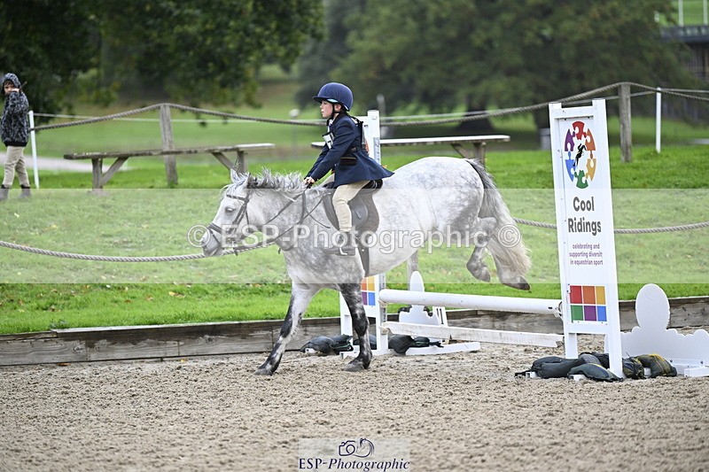 251005A-084839-02850 - Cls 02 GR 50cm