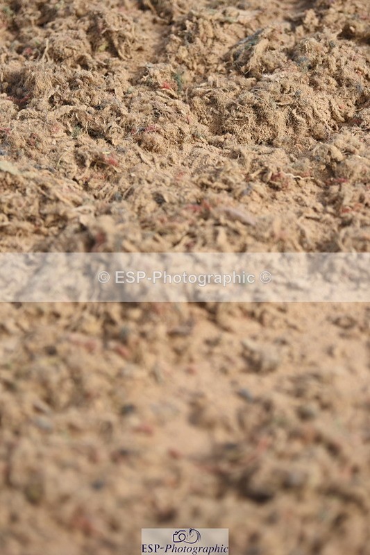 230906A-110514-00130 - Discovery & 1m Open