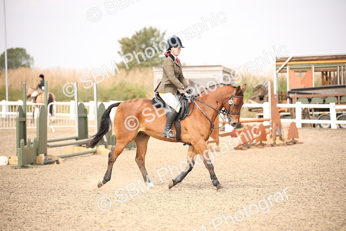 SBM_12898 - Class 406a - Working Veteran 50cm (15-19)