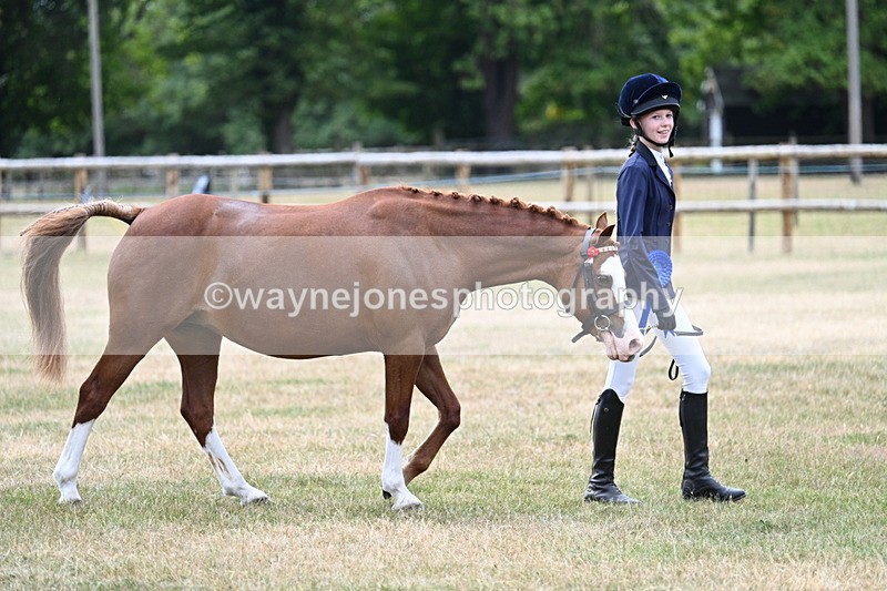 WJ7_2128 - Prettiest Mare Champs