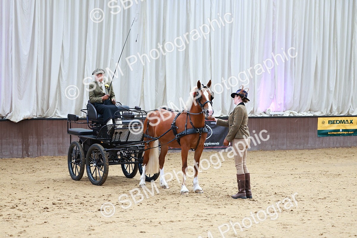 SBM_000648 - Class 11 - Peter Howell Memorial Gentlemen Whip