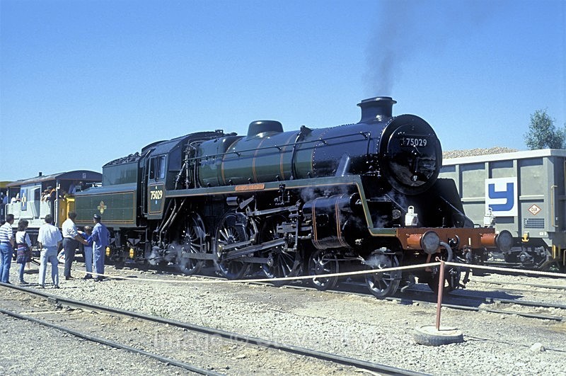 25th June 1989 - Merehead, Somerset