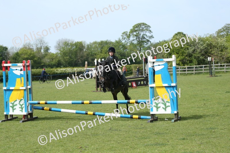 20260426-1751 - Class 14 - Novice 60cm