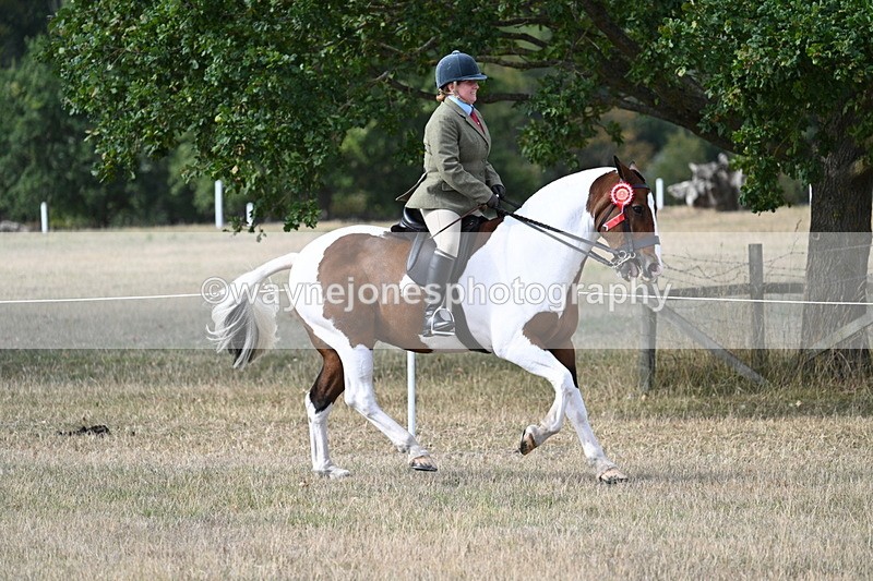 WJ7_7753 - Ridden Championship