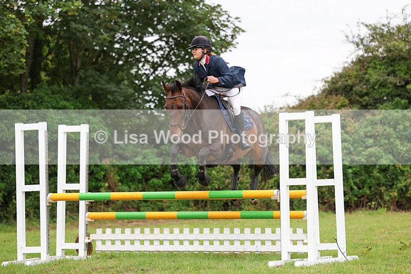 3E7A7171 - Class 5: Senior British Novice/90cm open