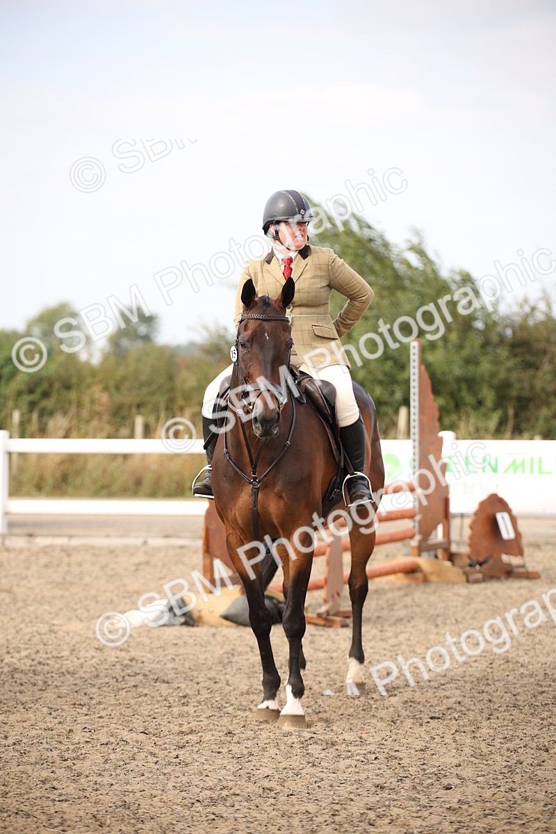 SBM_17320 - Class 410a - Wor5king Veteran 90cm (15-19)