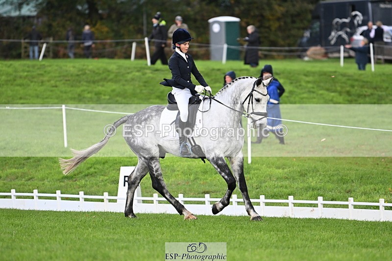 251023A-104750-02610 - G-509-Millie.Bloomfield