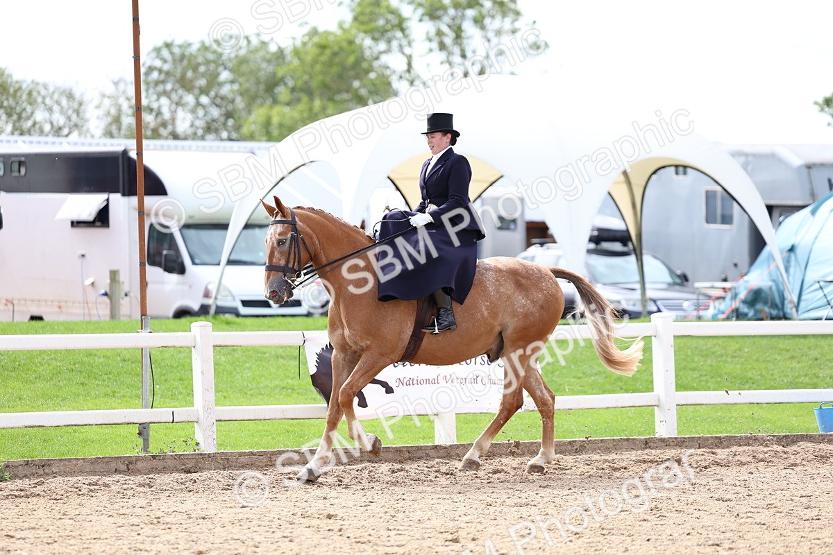 SBM_03322 - Class 23 - SSA Classical (any age)
