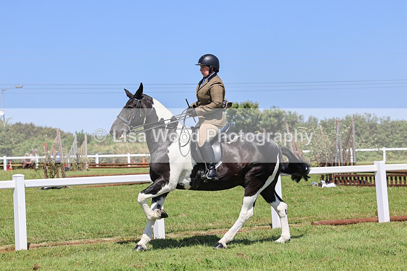 IMG_2399 - Class 38: Veteran Ridden