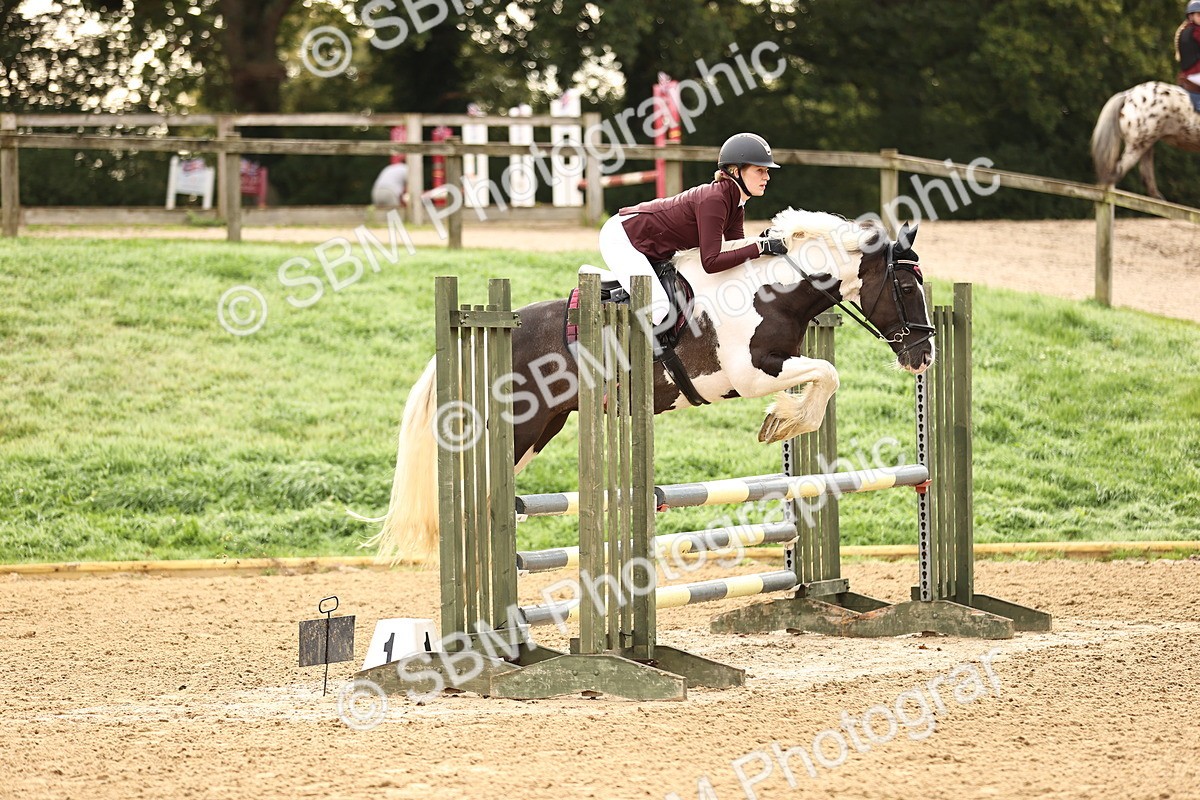 SBM_58206 - J41 - Grand Tour Horse & Pony 95cm