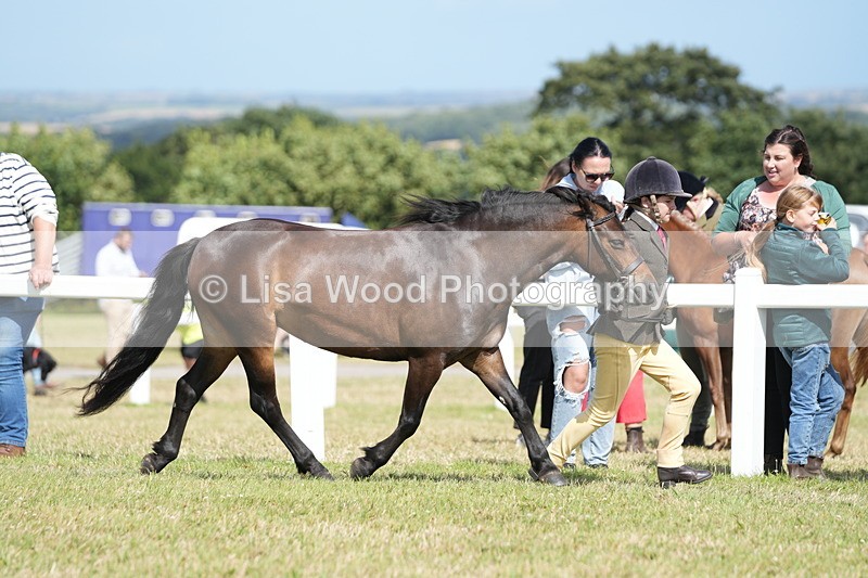 DSC07599 - Class 62: Child Handler
