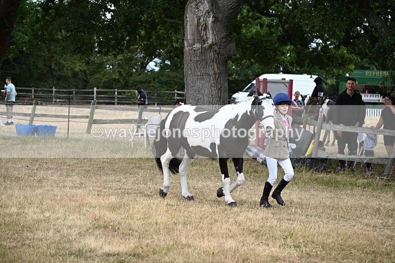 WJ6_8118 - Class 10 Coloured in Hand